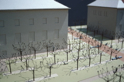 UC Berkeley Campanile Way - model - oblique view